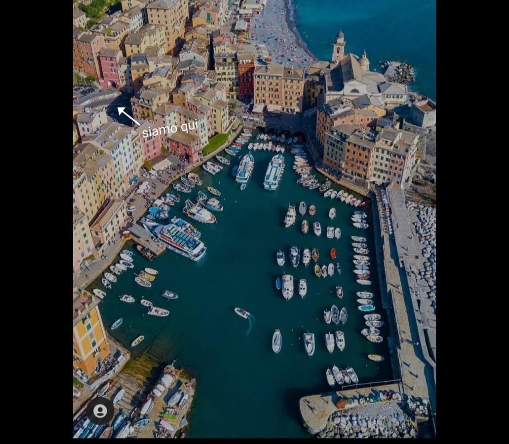 La Gioia Hotel Camogli Eksteriør billede